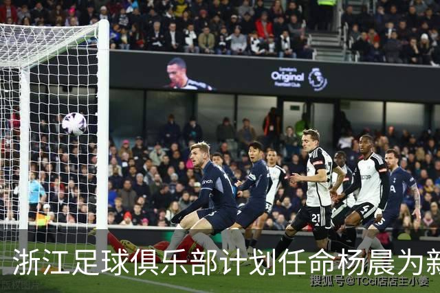 浙江足球俱乐部计划任命杨晨为新总经理，开启公示程序