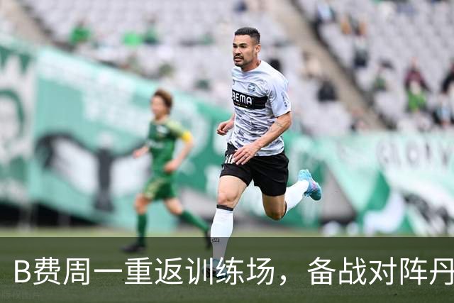 B费周一重返训练场，备战对阵丹麦的大战